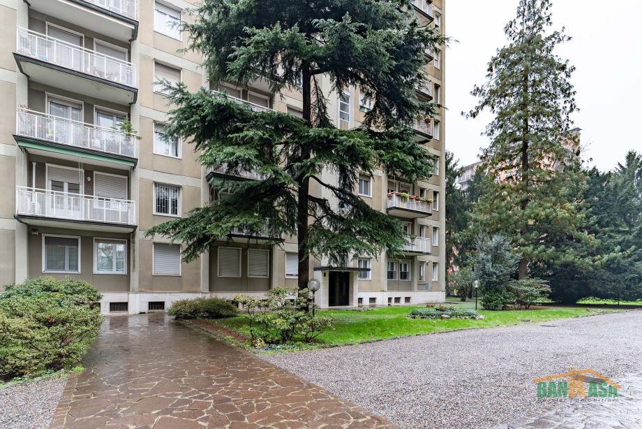 Appartamento in condominio di 2 locali 