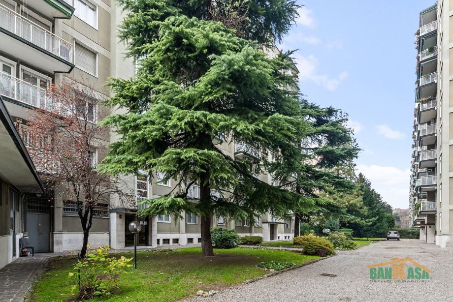 Appartamento in condominio di 2 locali 